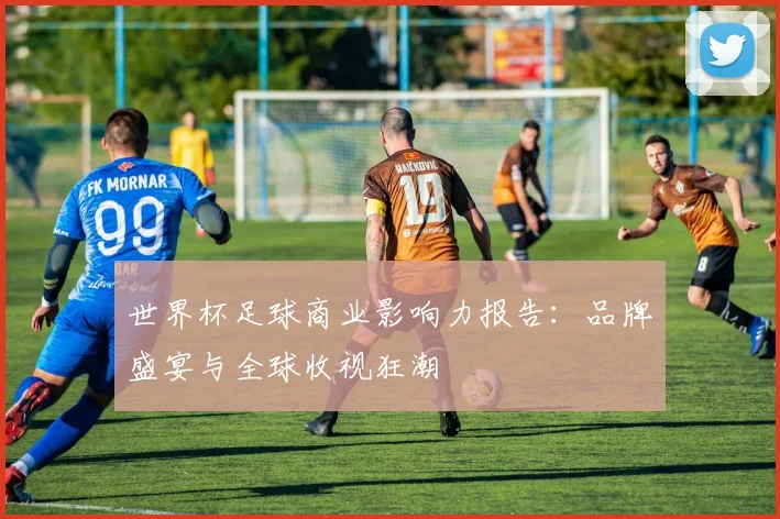 世界杯足球商业影响力报告：品牌盛宴与全球收视狂潮