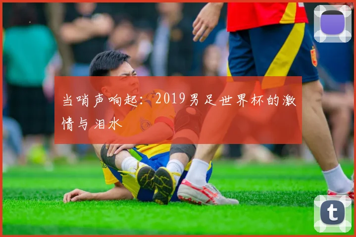 当哨声响起：2019男足世界杯的激情与泪水