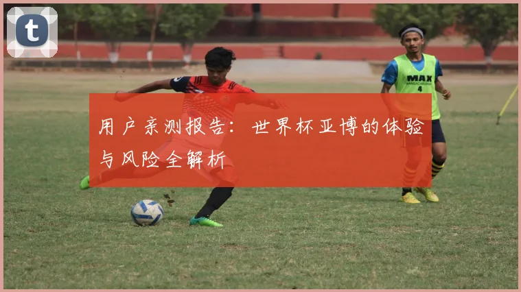 用户亲测报告:世界杯亚博的体验与风险全解析