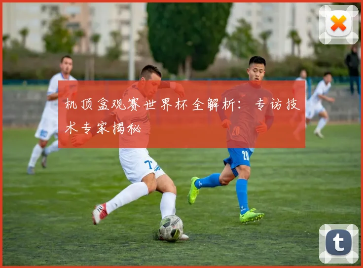 机顶盒观赛世界杯全解析:专访技术专家揭秘
