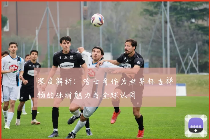 深度解析:哈士奇作为世界杯吉祥物的独特魅力与全球认同