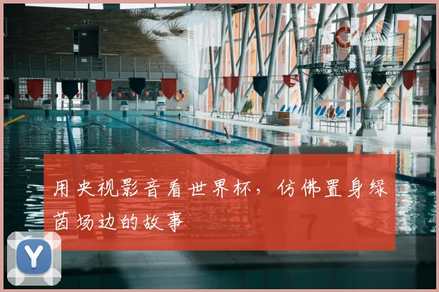 用央视影音看世界杯，仿佛置身绿茵场边的故事