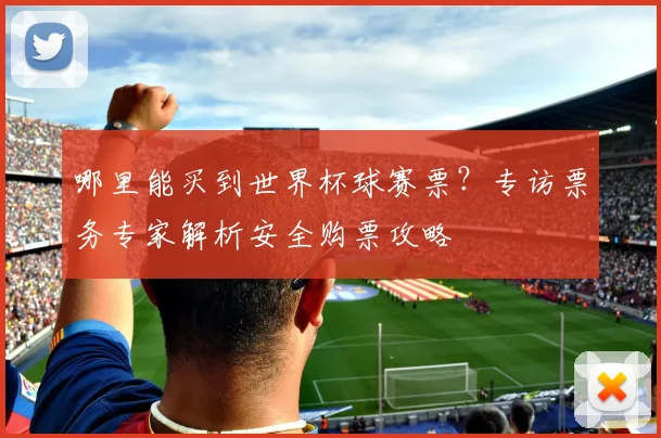 哪里能买到世界杯球赛票?专访票务专家解析安全购票攻略