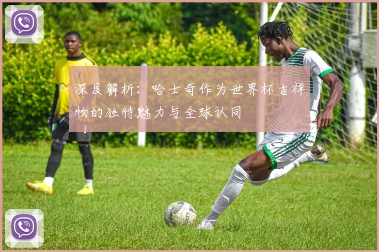 深度解析：哈士奇作为世界杯吉祥物的独特魅力与全球认同