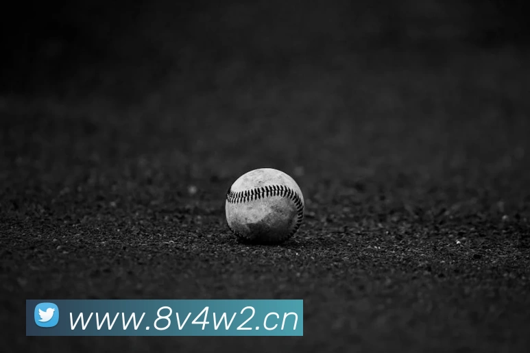 乐鱼在线官网登录入口服务体系